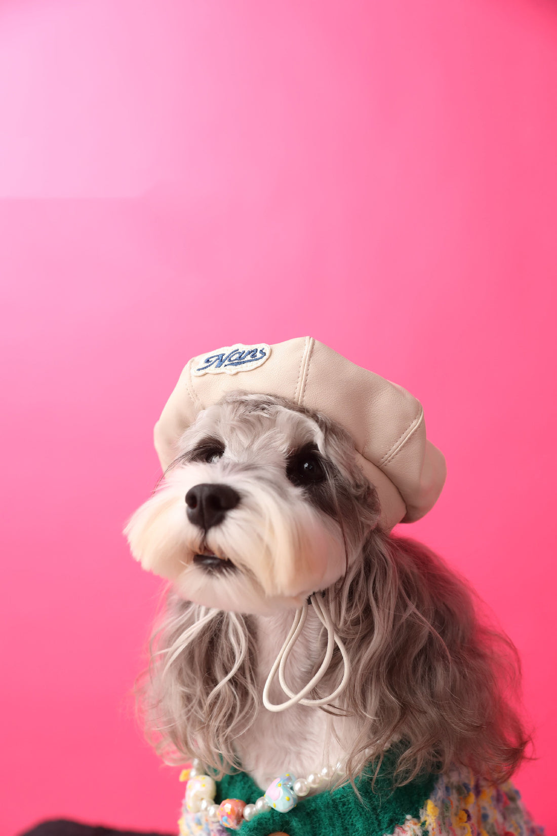 Dog Accessories Photo Concave Shape Pumpkin Hat