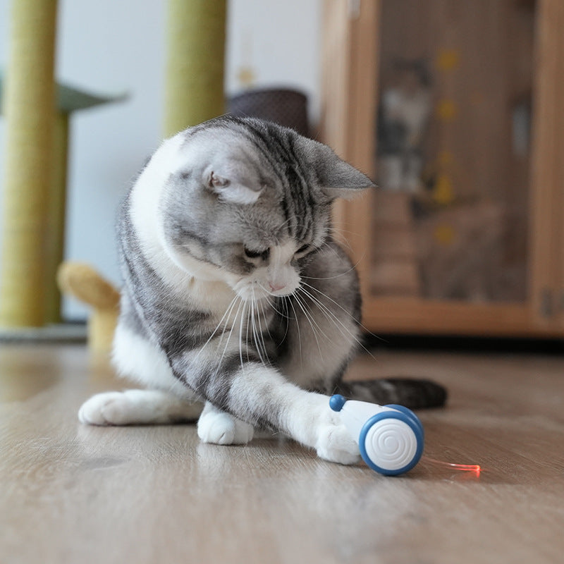 Cat Toy Boredom Artifact Automatic Intelligent