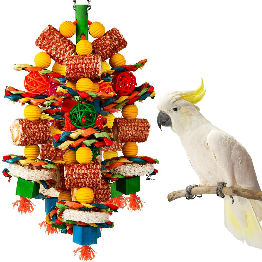 Parrot Bird Cage Accessories