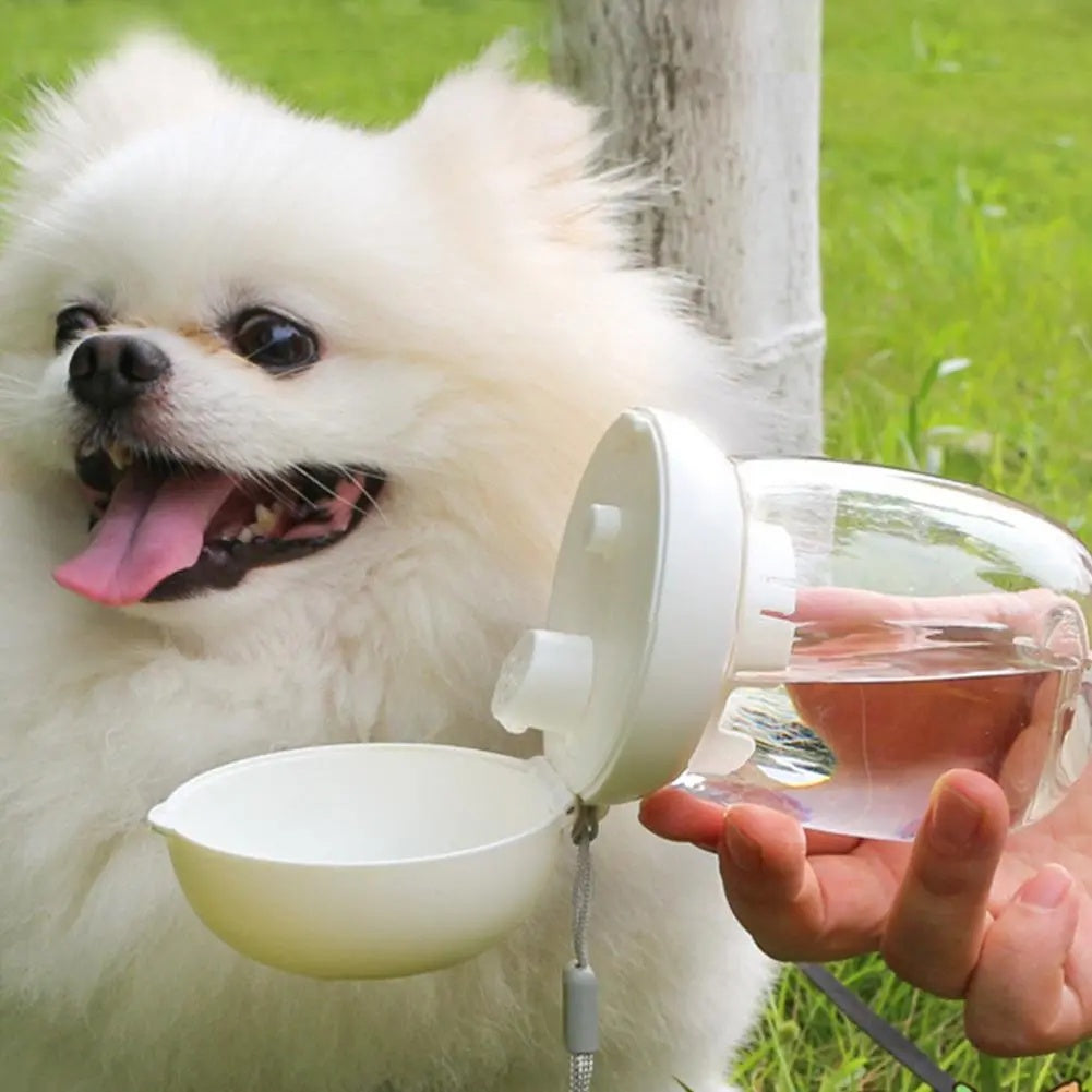 Portable Pet Water Bottle Outdoor Travel