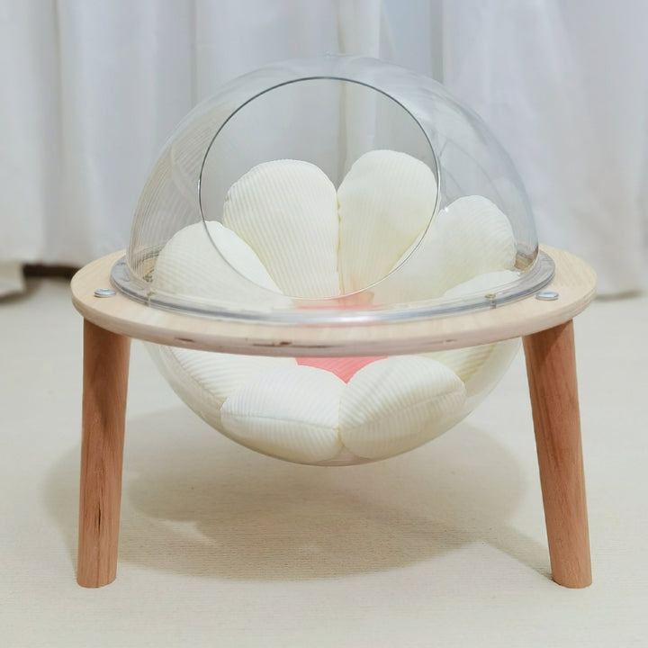 Space Capsule Cat Nest Sphere Transparent Closed