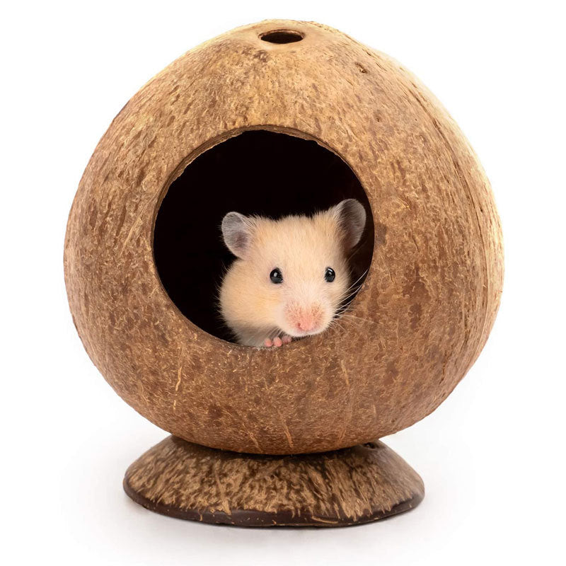 Fashionable Hamster Toy Supplies For Home Use