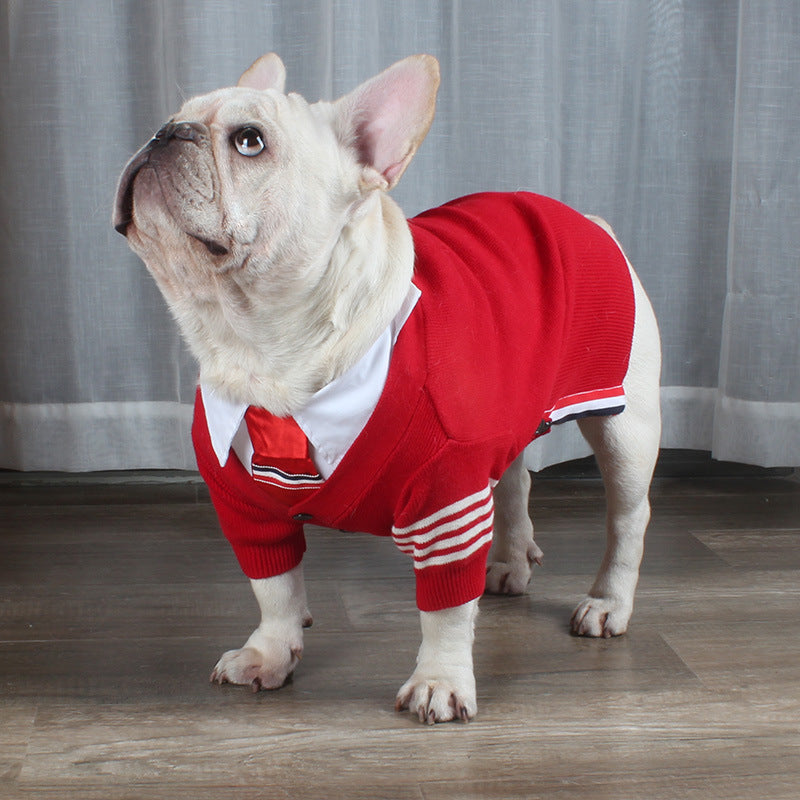 Bulldog British Bucket Corgi Cat Sweater