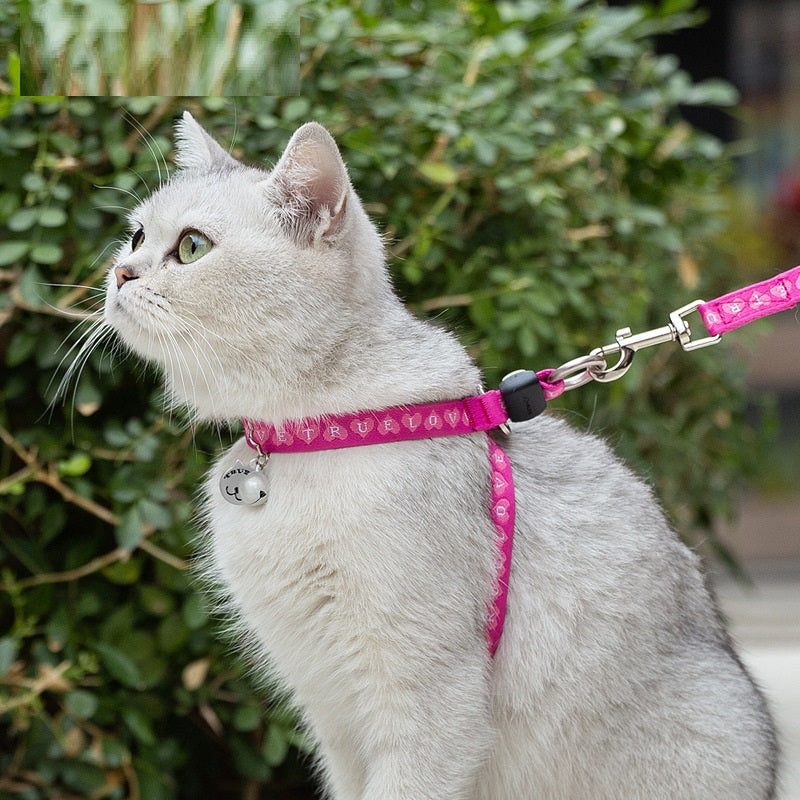 Pet Cat Bell Chest Strap Haulage