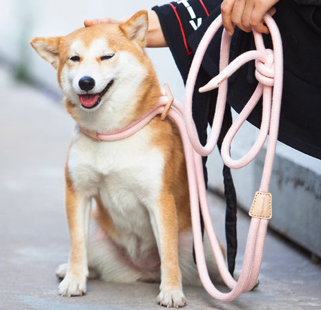 Pet Multi-functional Chest Harness Anti-Burst Leash