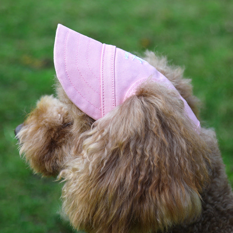 Pet Supplies Dog Cat Cap Baseball