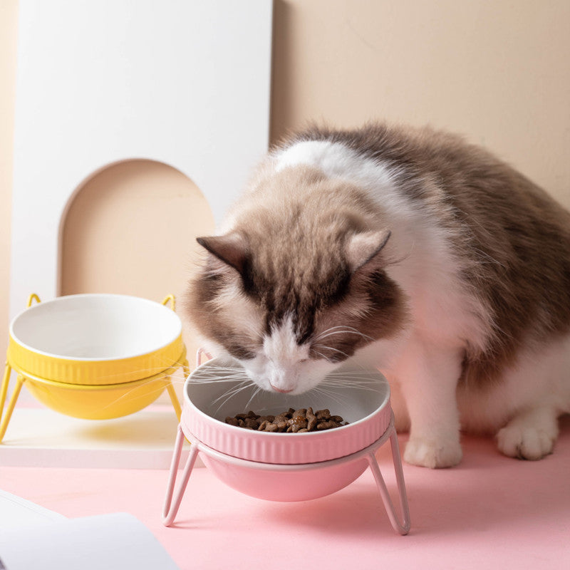 Ceramic Pet Bowl High Foot Neck Protection