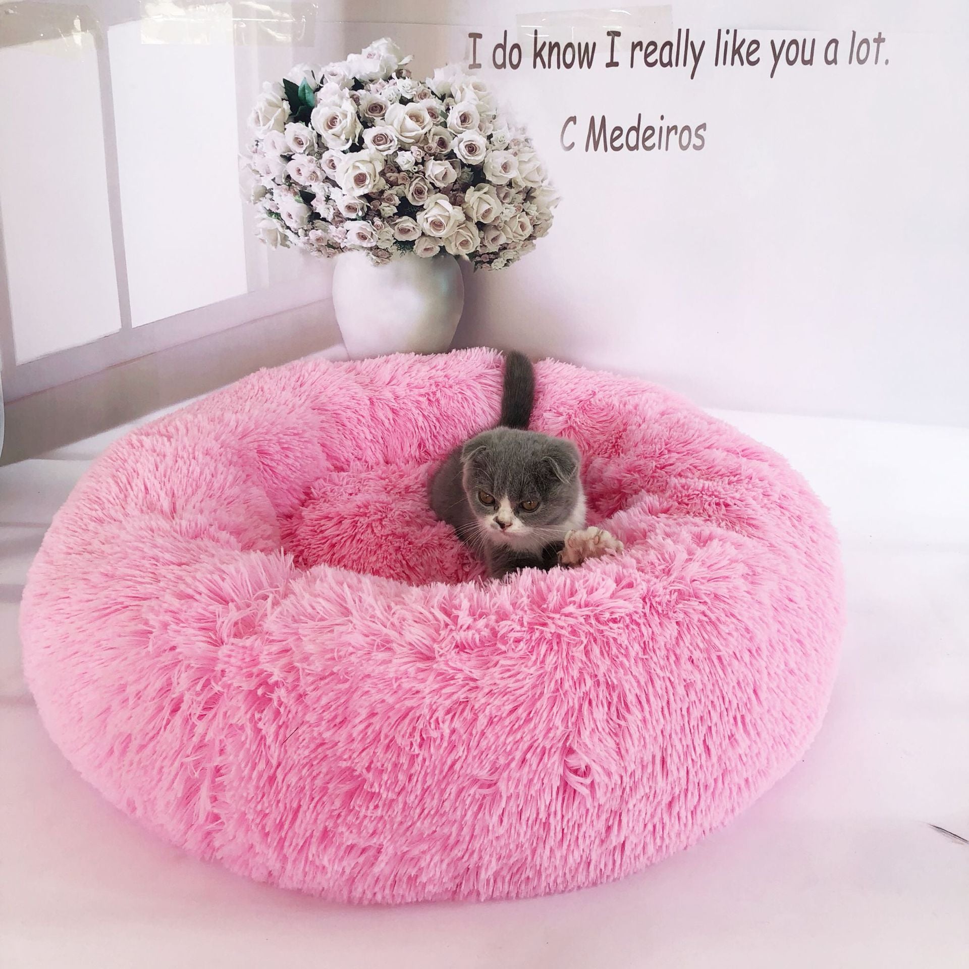 Cat Litter Kennel Pet Nest Mat Puppy Beds