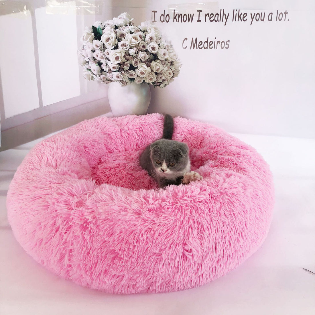 Cat Litter Kennel Pet Nest Mat Puppy Beds